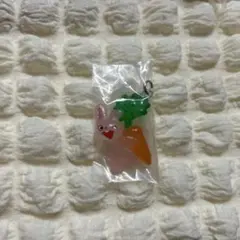 ノンタンめじるしアクセサリー2のうさぎさんA