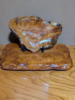 世界遺産 屋久杉 特上笹杢 泡瘤 飾盤 ＆ 特上波杢 飾台 2点 幅54cm