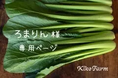 〝ろまりん様〟専用ページ:*:・(*´ω`pYq゛