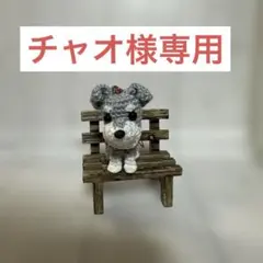 チャオ様専用