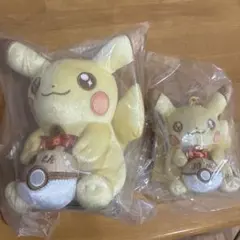 ポケモン ピカチュウ ぬいぐるみ マスコット 30周年記念 2点セット