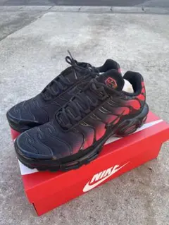 レア　Nike Air Max Plus ブラック×レッド　29.5cm