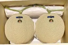 f*0様 高知産　温室マスクメロン　６玉　約７，２Kｇ　A品　北海道沖縄発送不可 f*0様 高知産 温室マスクメロン 6玉 約7，2Kg A品 北海道沖縄発送