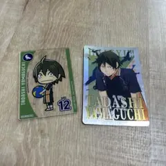 ハイキュー　山口忠