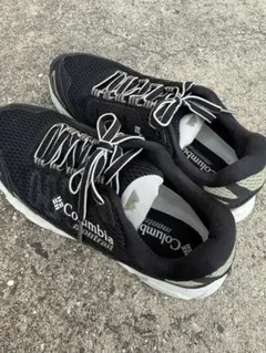 Item thumbnail for item 5de5571a-8c8a-45da-8831-121c7a93859f