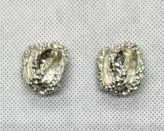 イヤリング #211