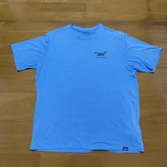 希少！Patagonia パタゴニア Tシャツ グラフィック