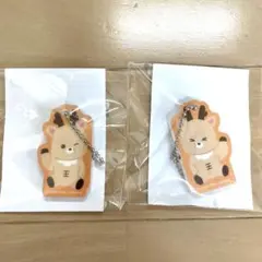 RIIZE ランダムトイ ソンチャン マグネットアクリルチャーム　セット　右左