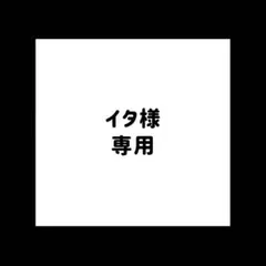 イタ様専用ページになります。