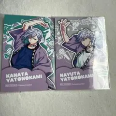 パラライ ドプボ cozmez ハーフブロマイド