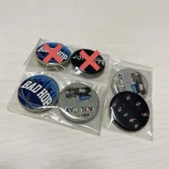 badhop ミュージシャン