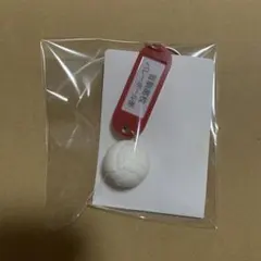 ハイキュー トレーディング高校名付き鍵チャームキーホルダー 音駒