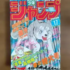 2025年最新】銀牙の人気アイテム - メルカリ