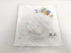 ユニクロ　UT　Tシャツ　KAWS　セサミストリート　XS