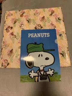 値下げ！PEANUTS スヌーピー A4クリアファイル