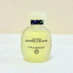 2025年最新】資生堂 シャワーコロンの人気アイテム - メルカリ