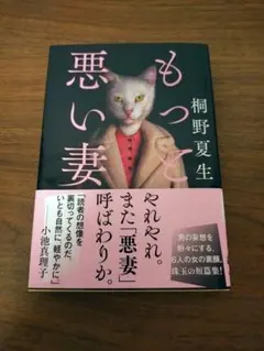 もっと悪い妻 桐野夏生 文春文庫