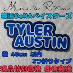 野球 横浜 ベイスターズ 応援ボード パネル オースティン
