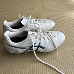 Item thumbnail for item a973d0af-fec0-4f76-861a-7ddbd9f6f38a