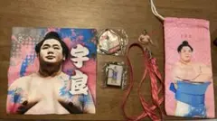 宇良　大相撲ガチャ　タオル　ペットボトルホルダー　ラバーストラップ　キーホルダー