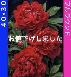 亜紀様 リクエスト 3点 まとめ商品