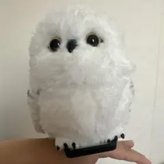 新品！未使用品！ハリーポッター ヘドウィグ 動くぬいぐるみ - メルカリ