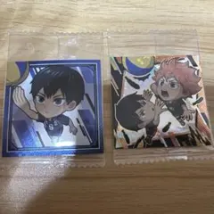 ⭐︎排球レア・極⭐︎ ハイキュー　ウエハースシール　 影山飛雄　日向翔陽
