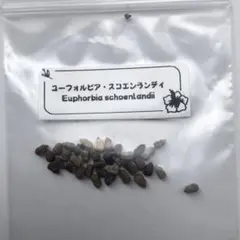 スプやん様 リクエスト 2点 まとめ商品