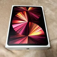 Apple iPad Pro 11 (第3世代) M1スペースグレー 極美品！！