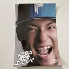 日ハム　ステッカー　伊藤大海