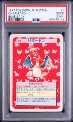2026年最新】トップサン リザードン psa10の人気アイテム - メルカリ