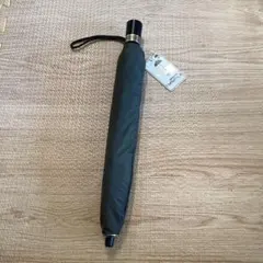 Item thumbnail for item 9f95e5b9-54ff-4dc4-9a21-5c04628f40e7