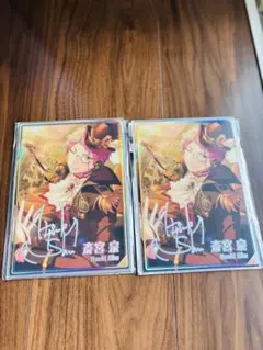 斎宮宗 ポートレート 虹色 開花　2点セット まとめ