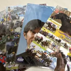 武豊　4000勝記念クリアファイル 2025年最新】Yahoo!オークション -武豊 クリアファイルの中古品