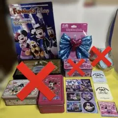東京ディズニーランド パルパルーザグッズセット