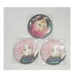 あんスタ 桜河こはく コレ缶 クロステーマ 開花後 20点 セット 2025年最新】桜河こはく 缶バッジの人気アイテム - メルカリ