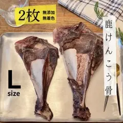 大人気‼️鹿けんこう骨 Lサイズ 2枚 無添加 鹿肉ジャーキー ジビエのサムネイル