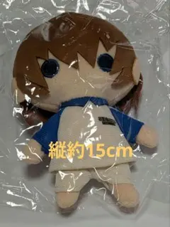 テニスの王子様 テニプリ 中国 限定 ぬいぐるみ 不二周助 未開封