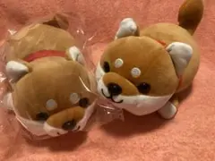 ハッピーまめしば　豆柴　柴犬　ぬいぐるみ　茶色　2匹
