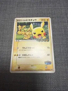 ポケパークのピカチュウ PROMO PCG-Pプロモカード 043/PCG-P - メルカリ