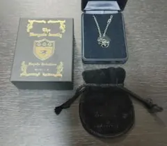 ボンゴレリング　嵐