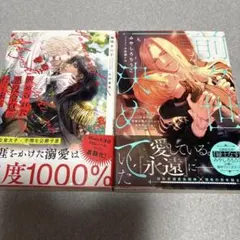 異世界恋愛ファンタジー小説 まとめ売り 21冊セット 8/31まで値下げ】 異世界恋愛・令嬢ファンタジー小説 5冊セット まとめ