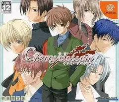 ドリームキャストソフト Cherry Blossom 限定版