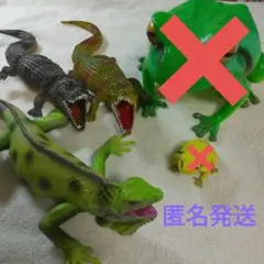 イグアナ　ワニ　爬虫類　は虫類　３点　セット　アミューズメント
