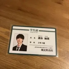 未成年 蛭川晴喜 学生証風カード 未成年 蛭川晴喜 水無瀬仁 学生証風カード 3点セット - メルカリ