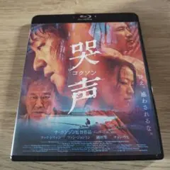 哭声 コクソン('15韓国)