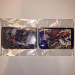 ポケモンフレンダベストタッグ第2弾ワンダーピックダークライ/ハッサム