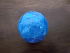 ワンピの実 “GRAND CAPSULE” Vol.01【Special】