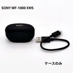 ソニー WF-1000XM4 バッテリー新品交換済 ブラック ワイヤレスイヤホン