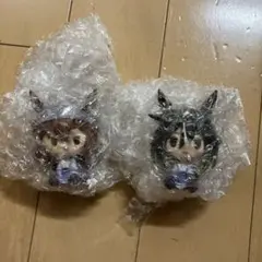 우마무스메 이치방쿠지 스테이 골드 나카야마 페스타 E 상 쵸코